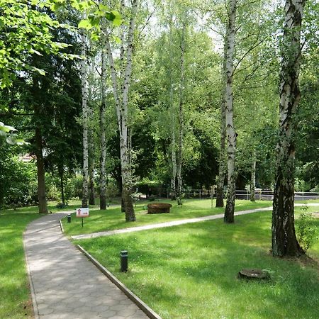 Penzion Harmony Javornik Ctyrkoly Exterior photo